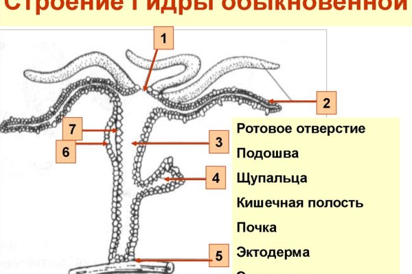 Кракен рынок сайт