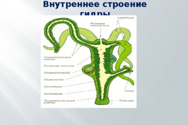 Кракен 13at