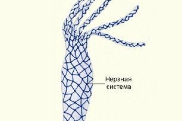 Как сделать заказ на кракен
