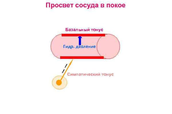 Кракен это современный даркнет маркет плейс