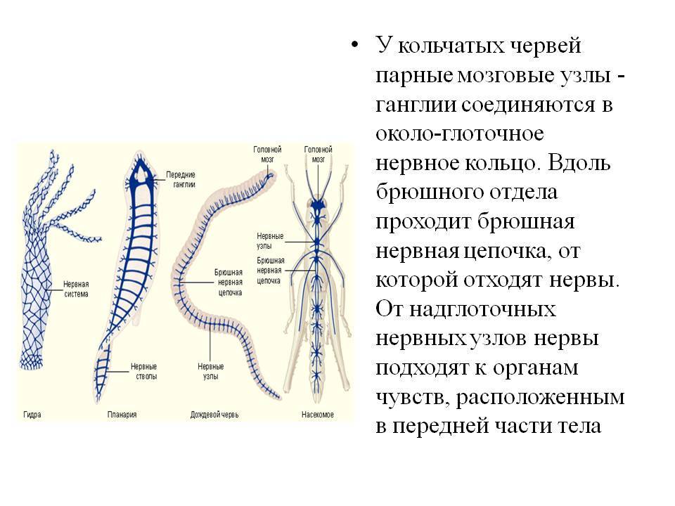 Кракен впн