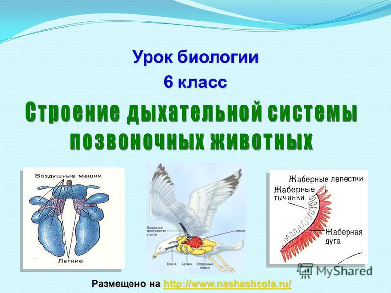 Kra14at